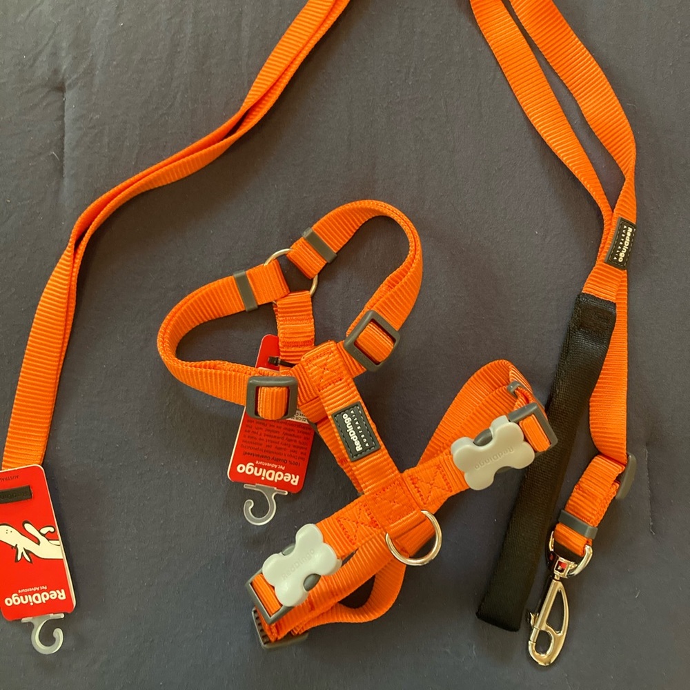 RED DINGO dog lead and harness in orange - 20 mm